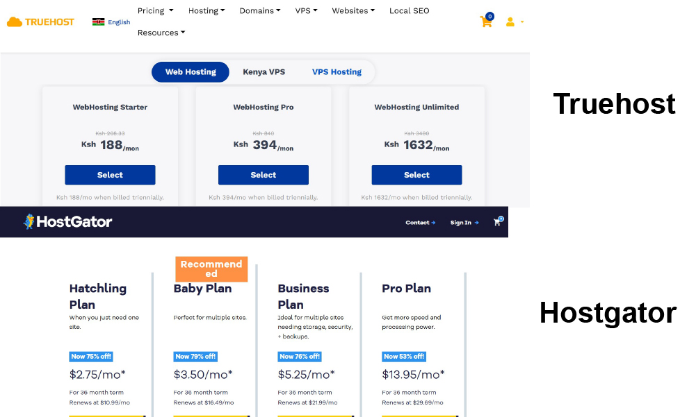 Truehost Web Hosting Review